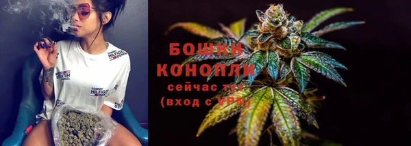 ГАЛЛЮЦИНОГЕННЫЕ ГРИБЫ Заволжье
