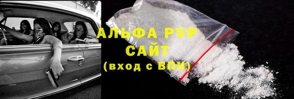 ГАЛЛЮЦИНОГЕННЫЕ ГРИБЫ Заволжье