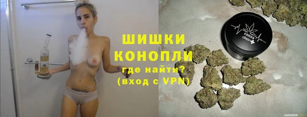 ГАЛЛЮЦИНОГЕННЫЕ ГРИБЫ Заволжье