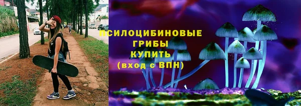 герыч Елабуга