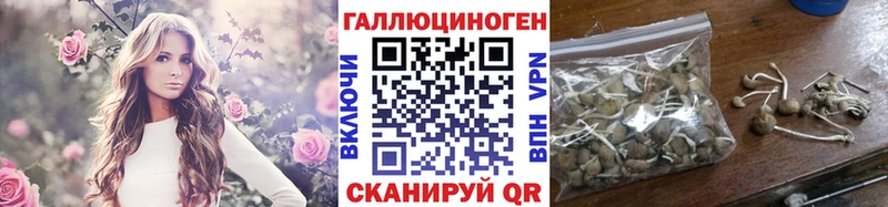 даркнет сайт  kraken зеркало  Псилоцибиновые грибы MAGIC MUSHROOMS  Искитим 